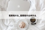 屈原姓什么_屈原姓什么叫什么