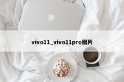vivo11_vivo11pro图片