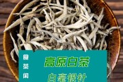 云南白毫(云南白毫银针与福鼎白毫银针)
