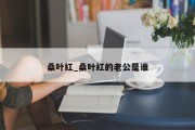 桑叶红_桑叶红的老公是谁