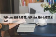 狗狗拉血是什么原因_狗狗拉血是什么原因怎么治