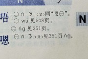 眼睛拼音怎么写(眼睛拼音怎么写鼻子拼音怎么写)
