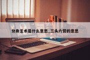 分身乏术是什么意思_三头六臂的意思
