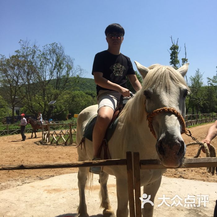 常州龙凤谷滑雪场(常州龙凤谷滑雪场是室内吗)