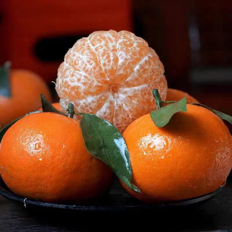 澳柑(澳柑的功效与作用)