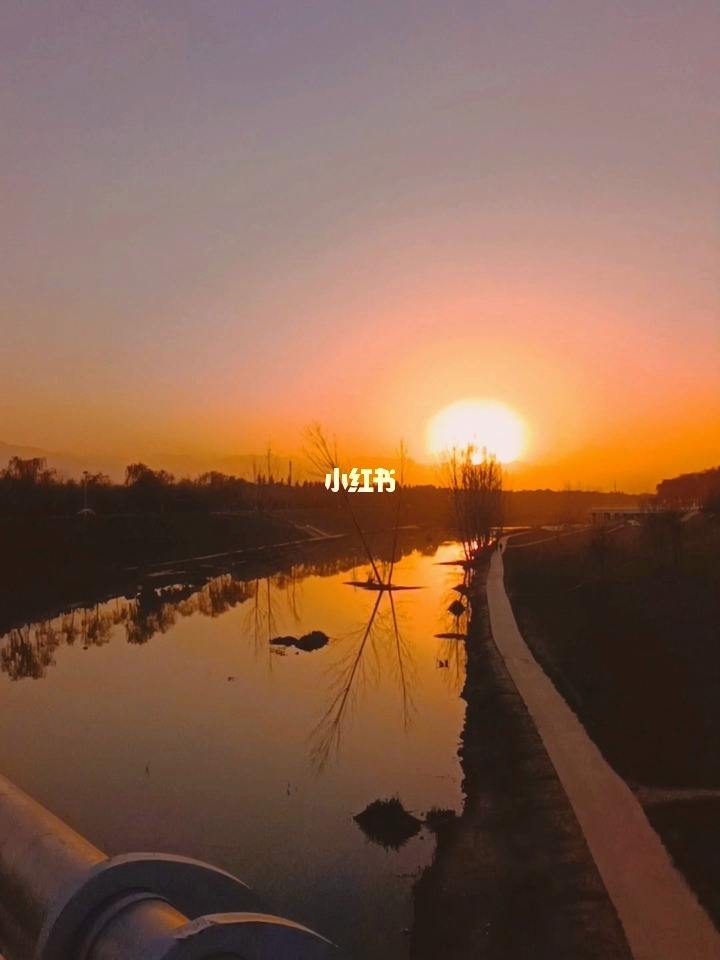 日出东方落于西(日出东方落于西什么意思)