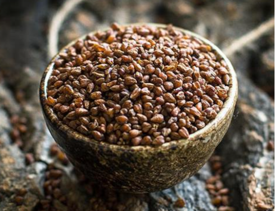 黑苦荞(黑苦荞过期了还能泡水喝吗)