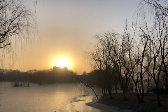 戌日(戌日是指什么意思)