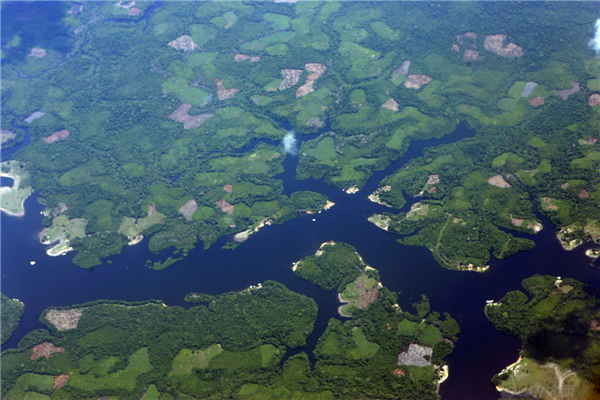 亚马逊河在哪个国家(亚马逊河在哪个国家附近)