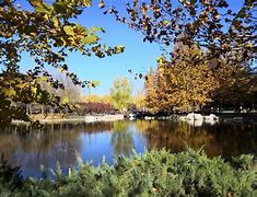 什么的小河(什么的小河填颜色) 什么的小河(什么的小河填颜色)