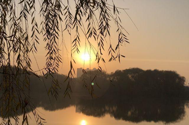 戌日(戌日是哪一天)