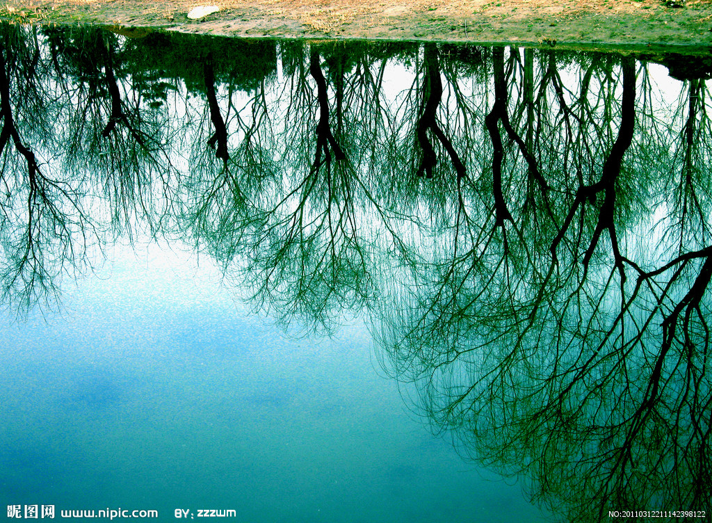 景物指的是什么(景物指的是什么意思)