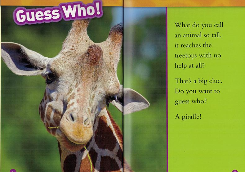 长颈鹿的英文单词(长颈鹿的英文单词复数怎么说) 长颈鹿的英文单词(长颈鹿的英文单词复数怎么说)