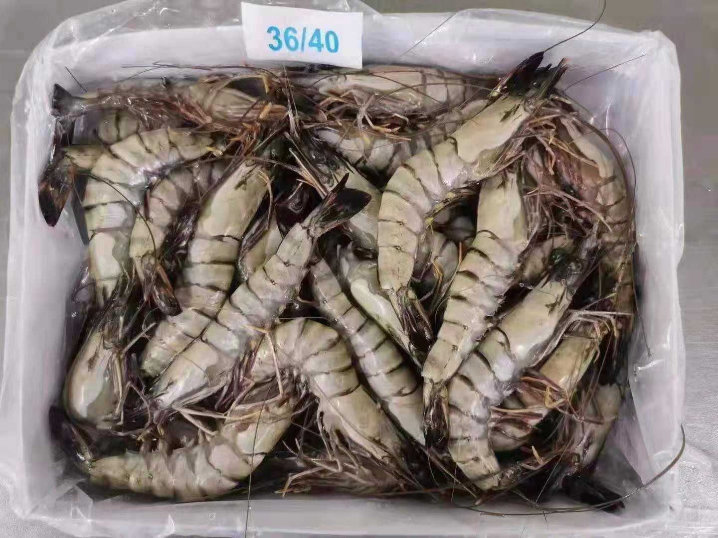 黑虎虾(黑虎虾和白虾哪个营养价值高)