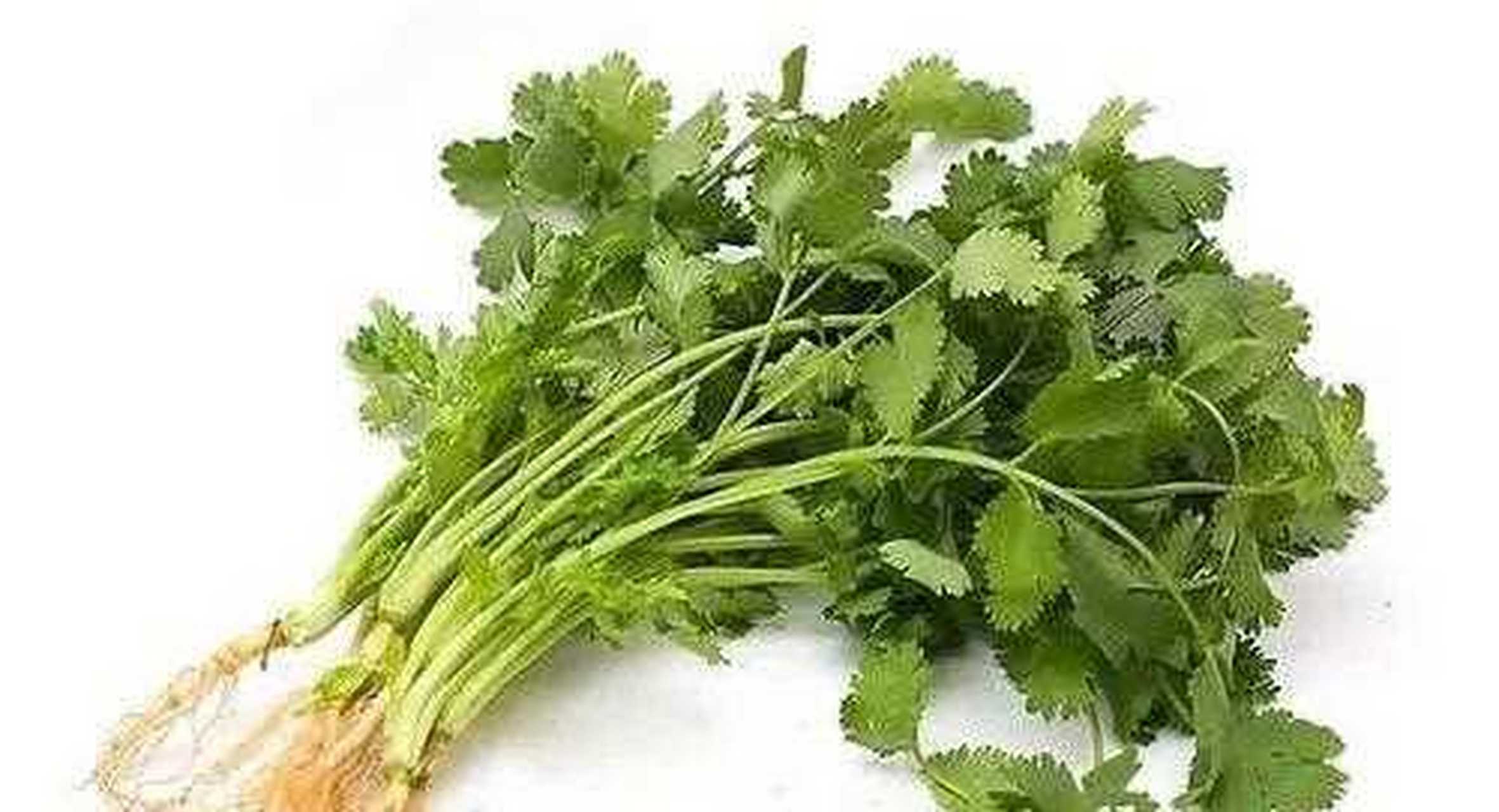 芫荽和香菜的区别(芫荽和香菜的区别 南方方言)