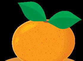 杰米扬鱼汤(杰米扬鱼汤的故事)