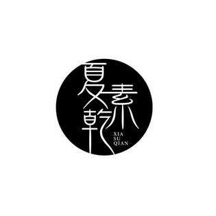 素乾(素乾饮料手术必须用吗)