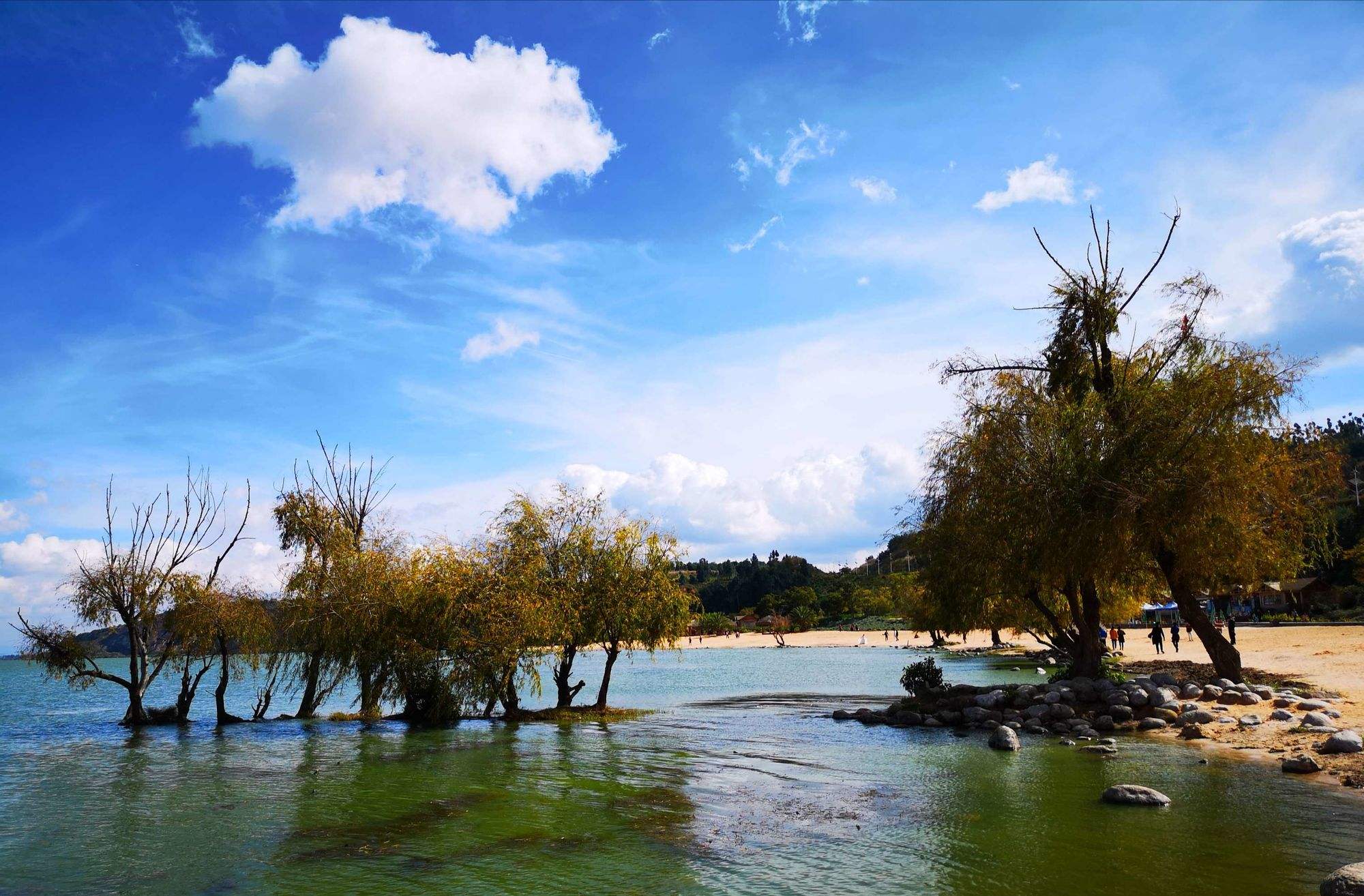 滇池在哪里(滇池在哪里哪个城市)