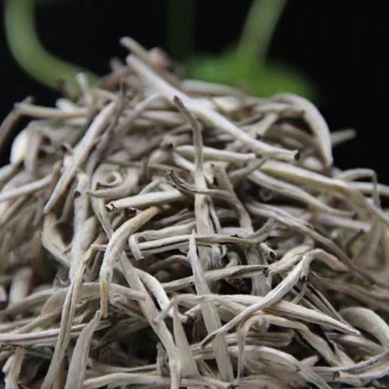 云南白毫(云南白毫银针能存放多久)